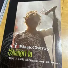 Acid Black Cherry Project Shangri-la 5th