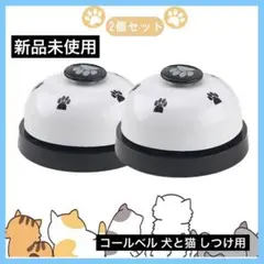 Item thumbnail for item cdc1bff2-e0d4-40cb-b519-9a79c1ef5b04