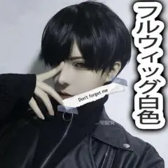 フルウィッグ ウィッグ かつら 人気 ファッション 原宿 自然 男女兼用 白色