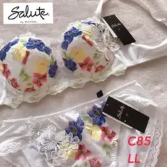 ワコール サルート ブラジャー ショーツP-UPタイプ C85 LL