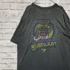 USA製90sヴィンテージTシャツ！シングルステッチ　グレー半袖古着　XL 29