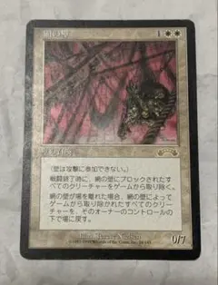 【MTG】網の壁