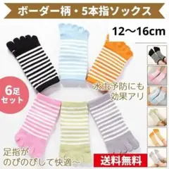 こども　5本指靴下　ソックス　6足セット　ボーダー柄　送料無料