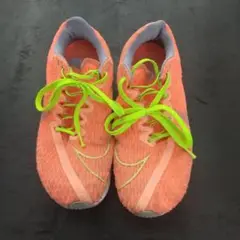 Item thumbnail for item 620d0c07-d9dd-4421-9317-768028be643d