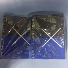 【匿名配送】竜陣祭　氣志團✕ドラゴンズコラボ手ぬぐい　2枚セット