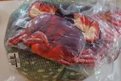 ダルトン　魚のクッションとカニのクッションセット