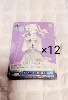 トラスト ユー ヴァイス 暁山瑞希 12点