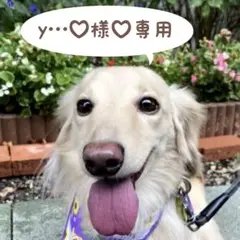 y…♡様♡専用