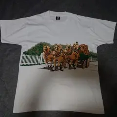 フルーツオブザルーム FRUIT OF THE LOOM Tシャツ アニマル 馬