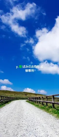 専用ページです