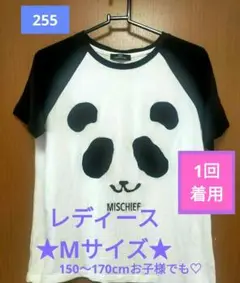 【1回着用】AVAIL Tシャツ 半袖 Mサイズ