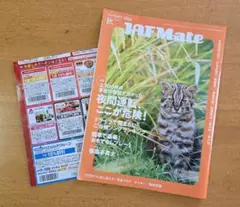 Item thumbnail for item aedcb786-2480-4e0b-8f59-011c48fd0a3d