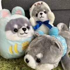 豆しば三兄弟　タイガ