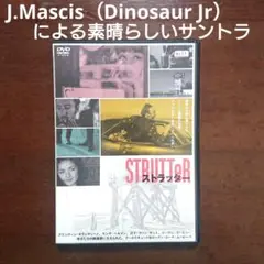 映画　STRUTTER　ＤＶＤ　J.MASCIS マスシスdinosaur jr