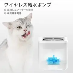Item thumbnail for item c90c5f31-004a-4a43-bd10-f2564a44b482