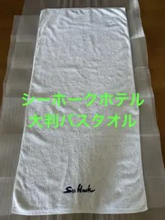 Item thumbnail for item e0a785b4-f4c6-49be-ab5c-54e06e4282ca