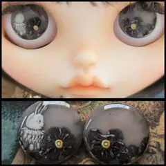 No.623ブライスアイチップ
