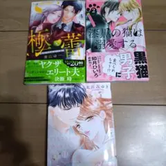 極と蕾～極道と恋を知らない人妻と～ 4　他２冊　計３冊セット