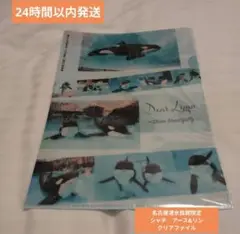 （匿名発送）名古屋港水族館限定　シャチ　アース&リン　クリアファイル