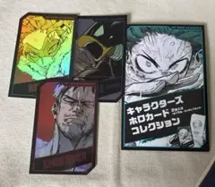 僕のヒーローアカデミア キャラクターズ ホロカード コレクション エンデヴァー