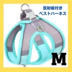 Item thumbnail for item dd94b8df-d13f-4653-9ba4-91bd12d341ca