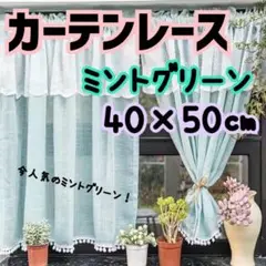 ミントグリーン レースカーテン 40x50cm
