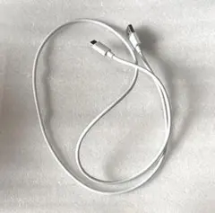 Apple純正　USB タイプC 充電ケーブル　1m 充電器