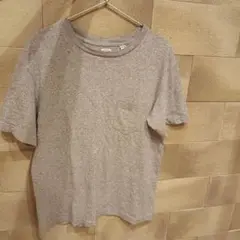 ANATOMICA グレー Tシャツ Mサイズ