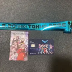 CrazyRaccoon CRフェス　入場特典 SIMカード　ステッカー