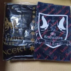 新品✨️ 玉置成実 スポーツタオル Speciality Graduation