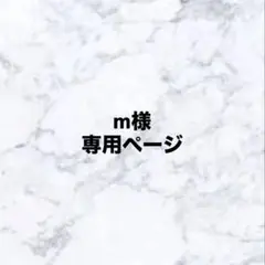 専用ページ