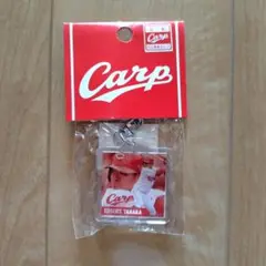 田中広輔 フォトキーホルダー Carp