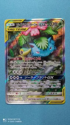 フシギバナ＆ツタージャGX SR SM11a リミックスバウト 066/064 フシギバナ＆ツタージャGX SR SM11a リミックスバウト 066/064