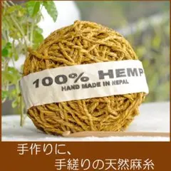 Item thumbnail for item ac67515c-bfe9-4c9a-a336-7d3701a4d6b5
