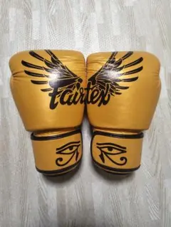 2025年最新】fairtex ボクシンググローブ 16ozの人気アイテム