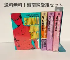 湘南純愛組！セット (1-4巻)