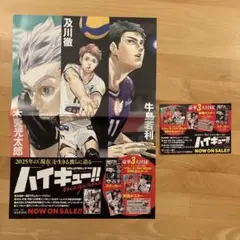 【ハイキュー!!】　ポスター・ポップ　販促