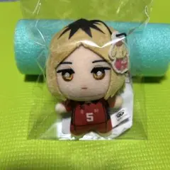 【新品】孤爪研磨 ハイキュー!!×サンリオ ちみっともぬい ぬいぐるみ　音駒高校