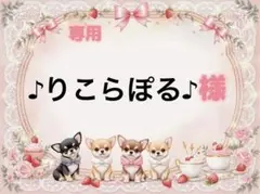 専用