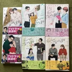 私たちが恋する理由　全巻セット　１巻〜６巻　【極美品】