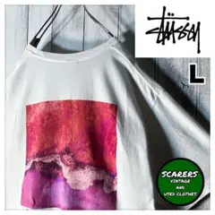 【美品 メキシコ製 L】ステューシー 両面プリント フォト Tシャツ 白