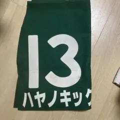 競馬ゼッケン G3 競馬