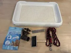 Item thumbnail for item 260b9101-dbb7-4934-9d2f-a9cd129e336a