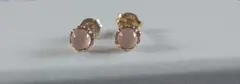 おまとめとなります 5000円 ete ピアス