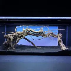 MTW-5520 蔦流木　気孔石3キロ追加　流木　アクアリウム 2025年最新】RAKYPETの蔦流木の人気アイテム - メルカリ