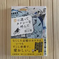 夢に迷ってタクシーを呼んだ