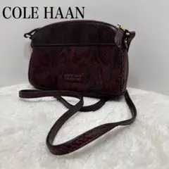 美品 COLE HAAN パイソン ショルダーバッグ 紫系