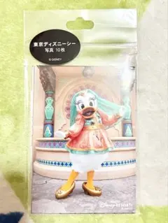 【新品未開封】ディズニーシー　TDS 写真10枚セット