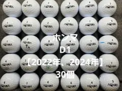 ロストボール　ホンマ　D1【2022年、2024年】白　30個