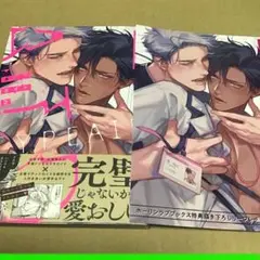 タイプ・エイド② ホーリン特典付